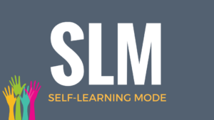 SLM - Self Learning Mode