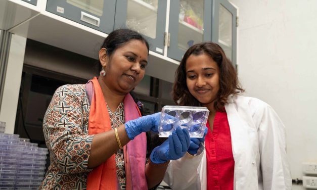 Finding New Avenues to Overcome Drug Resistance in a Deadly Brain Cancer