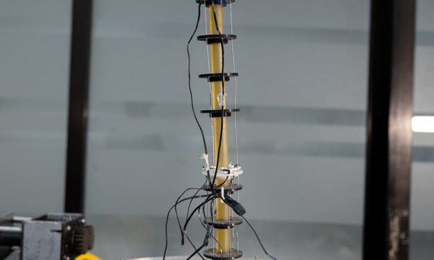 A Smarter Way to Move in Tight Spaces using ‘Flexible’ Robots