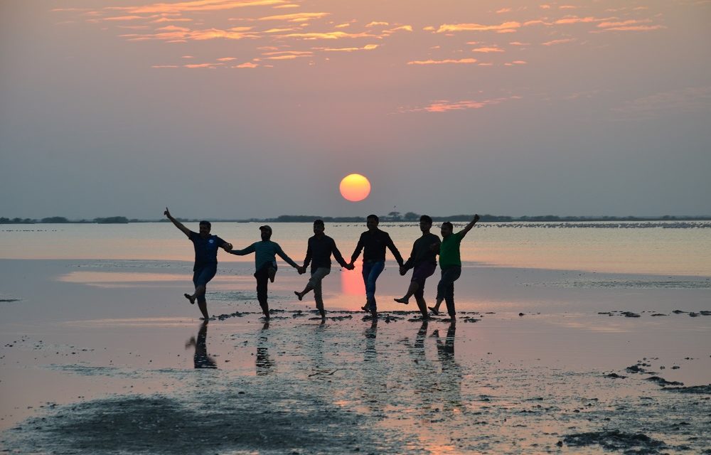 19 staff members opts for a day-off at Nal Sarovar and Little Rann of Kutch
