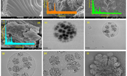 IIT Gandhinagar Researchers Develop Advanced Hydrogel to Detect, Capture and Reuse Rare Earth Metals