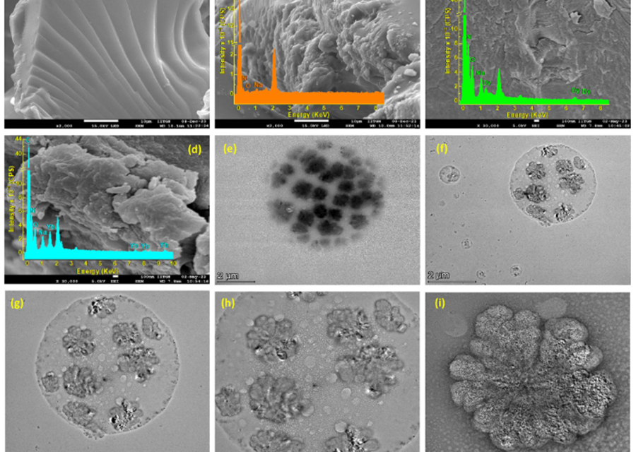 IIT Gandhinagar Researchers Develop Advanced Hydrogel to Detect, Capture and Reuse Rare Earth Metals