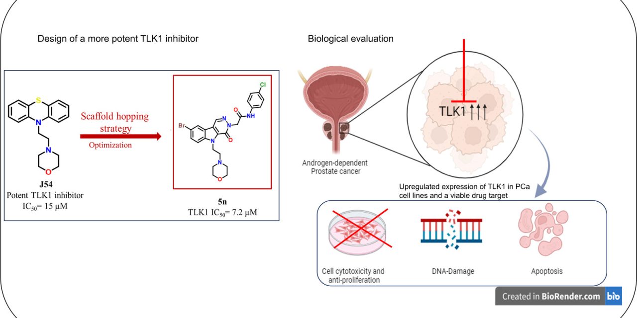 IITGN Researchers Develop Smarter Drugs to Overcome Treatment Resistance in Prostate Cancer
