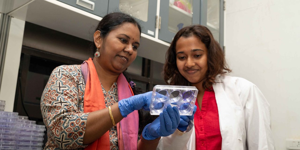 Finding New Avenues to Overcome Drug Resistance in a Deadly Brain Cancer