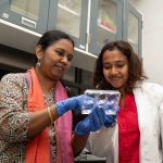 Finding New Avenues to Overcome Drug Resistance in a Deadly Brain Cancer