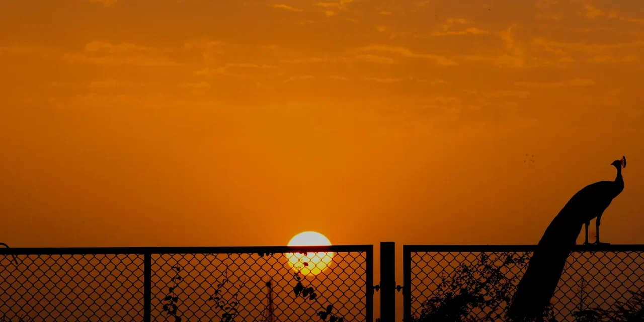 From Papua New Guinea to India: The Journey of an International Student