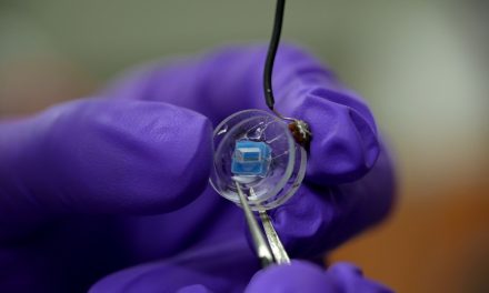 Using Clay-Based Nanotech to Redefine Lab-on-a-Chip Technology