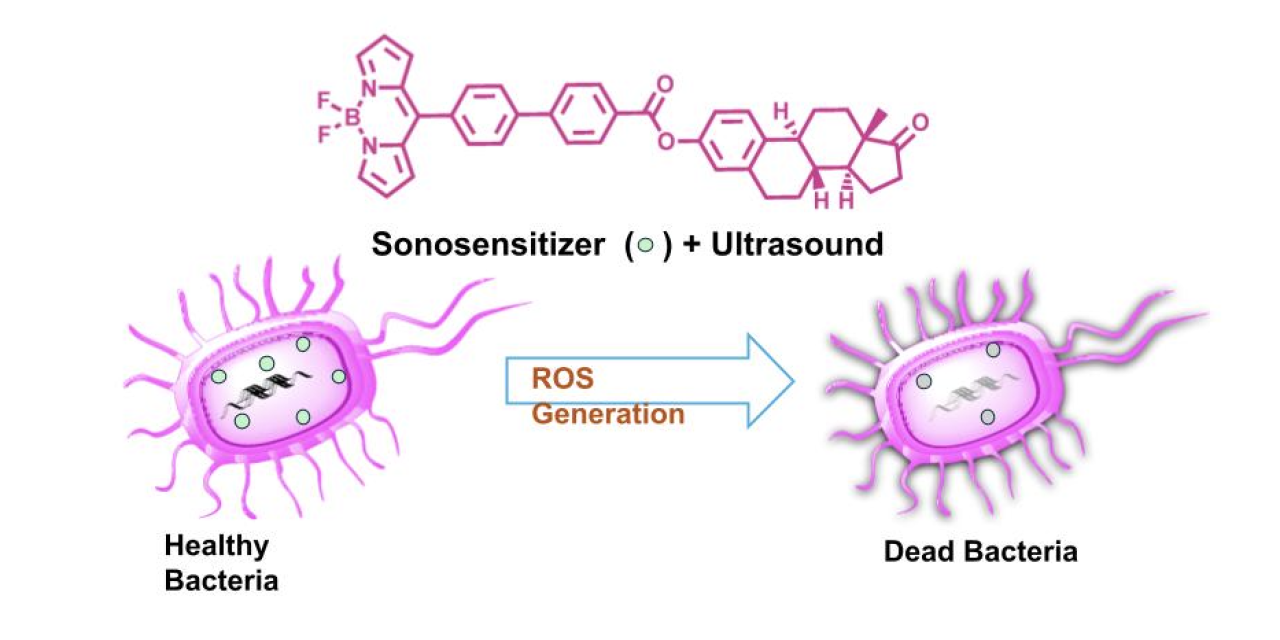 Sound Against Superbugs: Finding New Ways to Assassinate Bacteria!