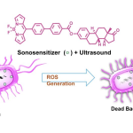 Sound Against Superbugs: Finding New Ways to Assassinate Bacteria!