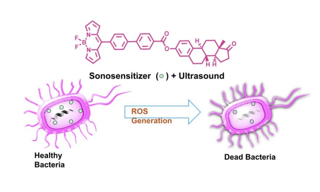 Sound Against Superbugs: Finding New Ways to Assassinate Bacteria!