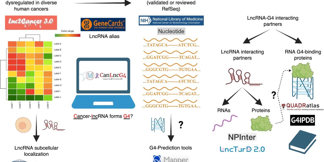 A Database of Cancer’s Molecular Mysteries