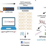 A Database of Cancer’s Molecular Mysteries