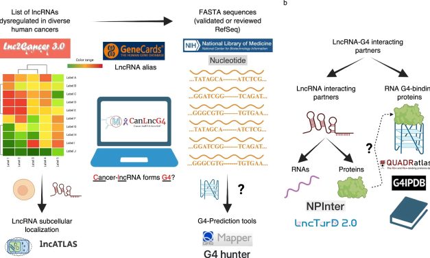 A Database of Cancer’s Molecular Mysteries