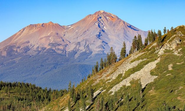 Grandmas Knew Best!: Sacred Ecology as a ‘Living’ Vehicle for Science Communication